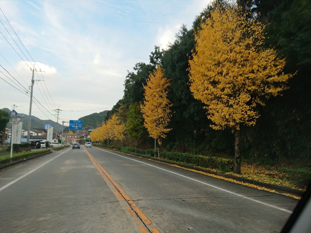 f:id:damtraveller:20211118193906j:plain