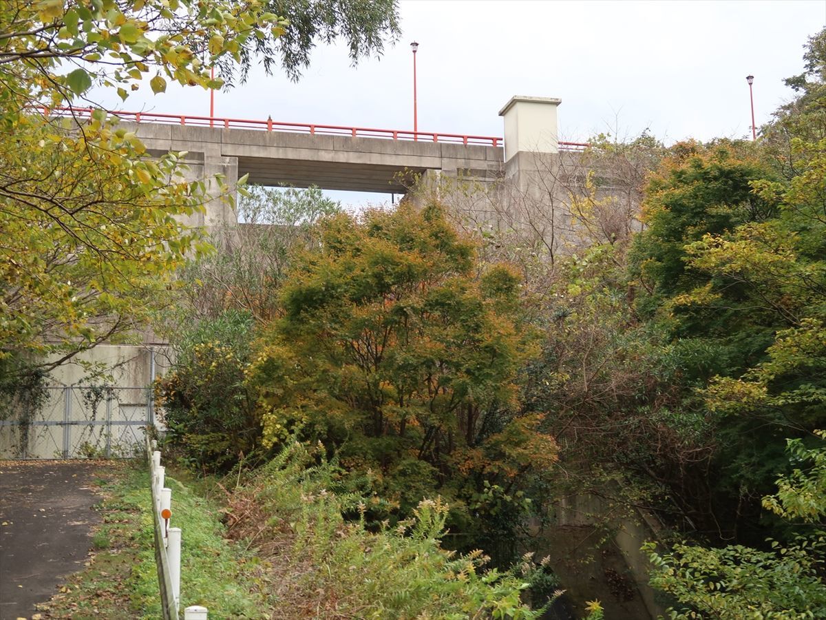 f:id:damtraveller:20211124210024j:plain