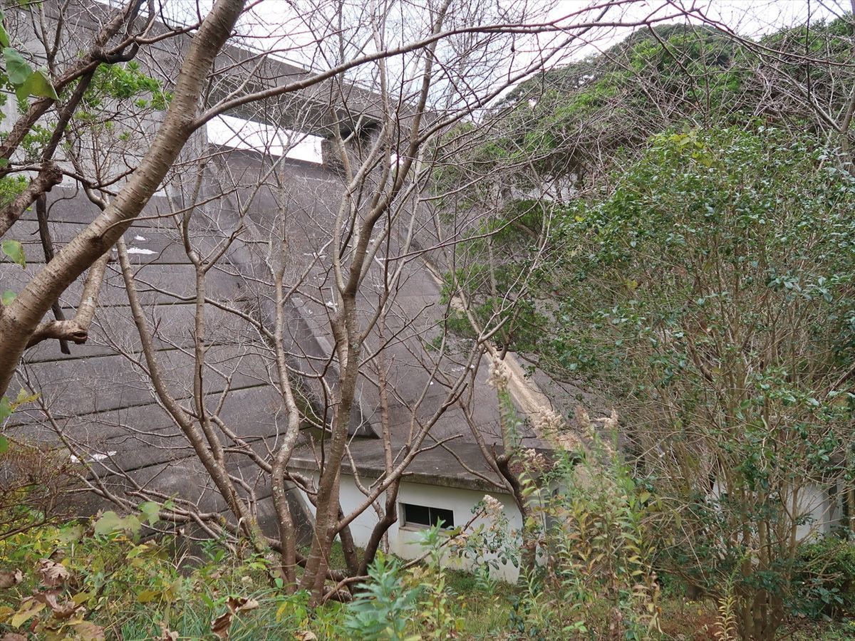 f:id:damtraveller:20211124212359j:plain