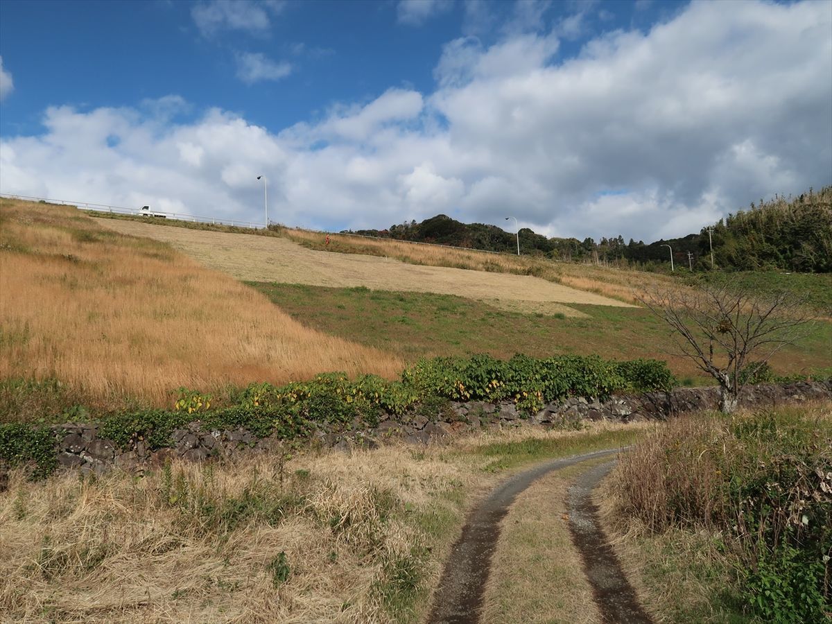 f:id:damtraveller:20211124214420j:plain