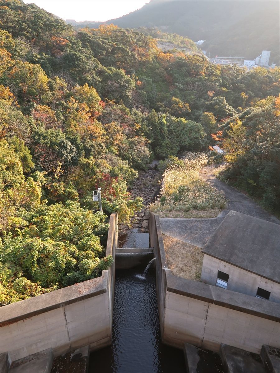 f:id:damtraveller:20211126002743j:plain