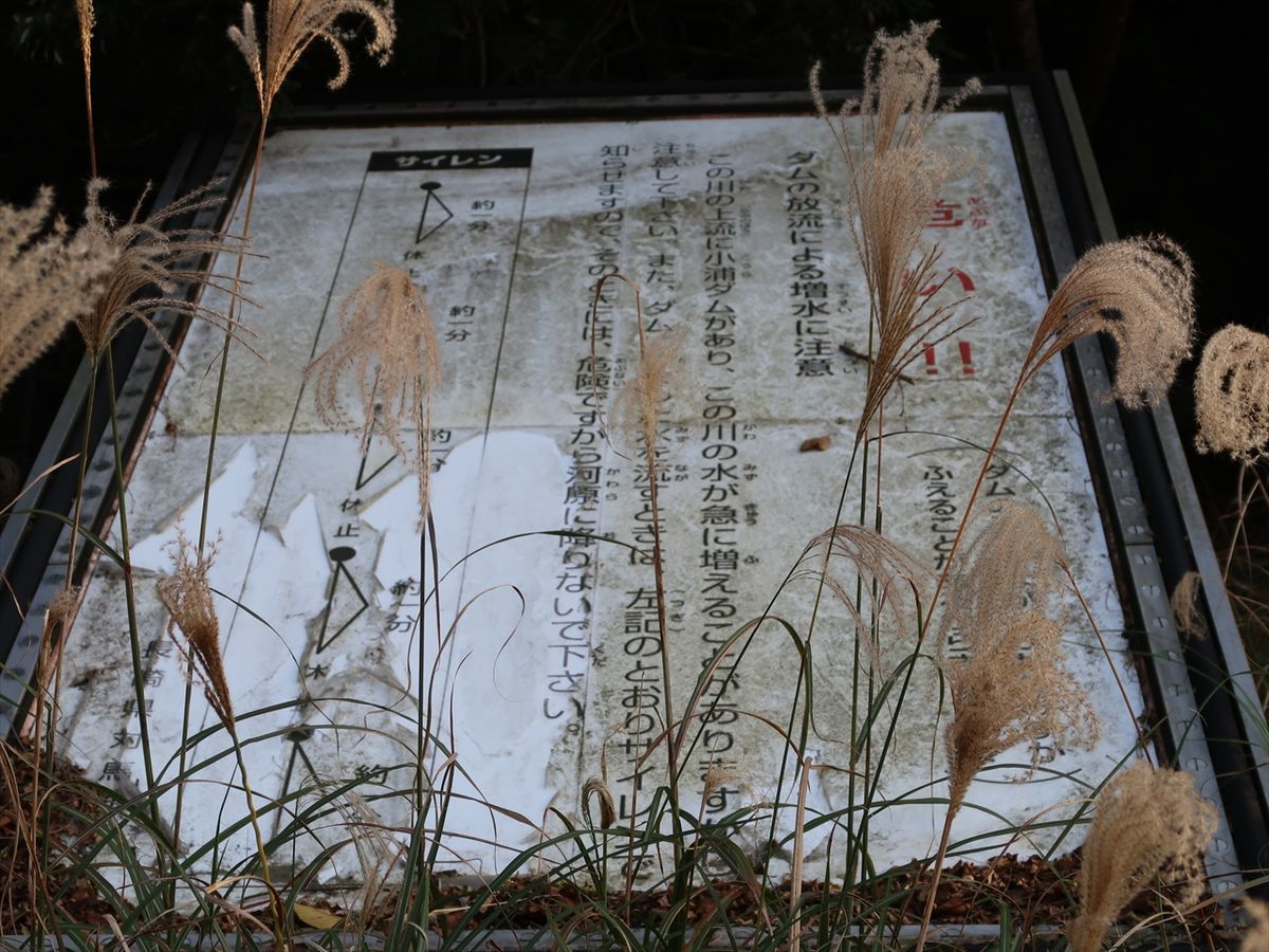 f:id:damtraveller:20211126002829j:plain