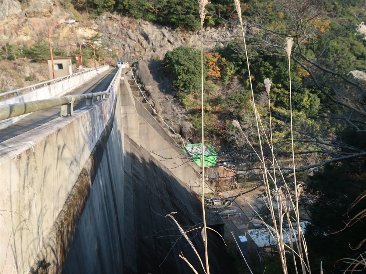 f:id:damtraveller:20211126004907j:plain