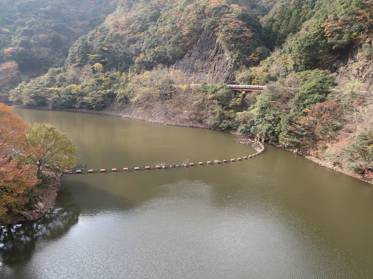 f:id:damtraveller:20211126005402j:plain