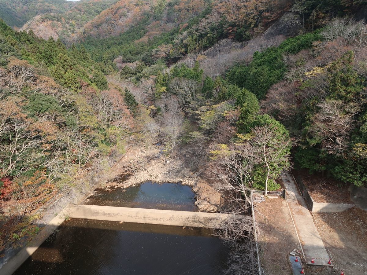 f:id:damtraveller:20211126005412j:plain