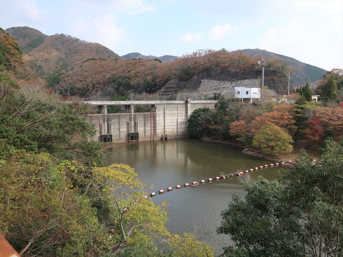 f:id:damtraveller:20211126005415j:plain