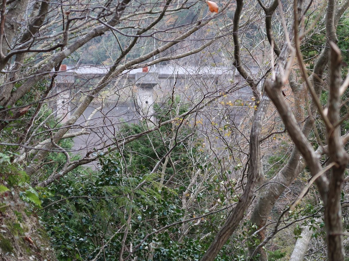 f:id:damtraveller:20211126005439j:plain