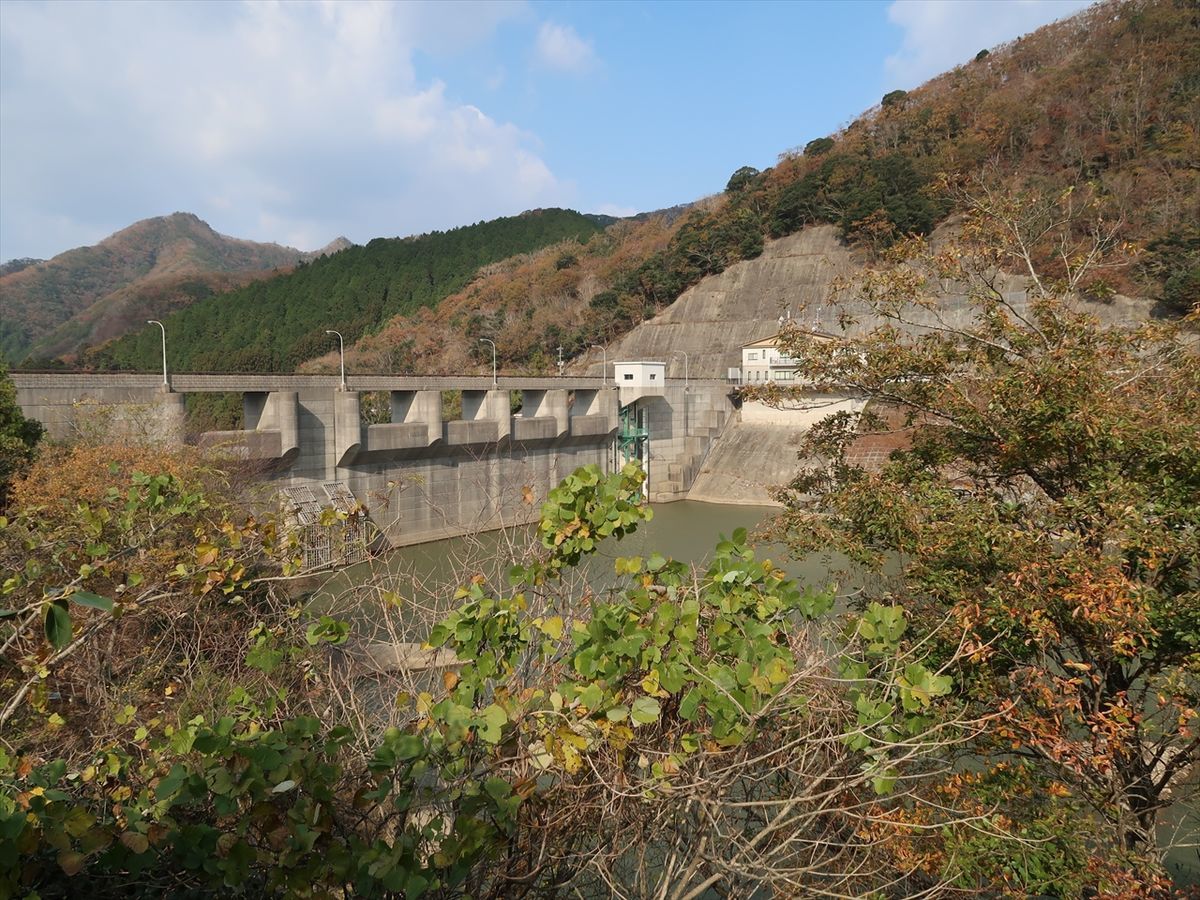 f:id:damtraveller:20211126005745j:plain