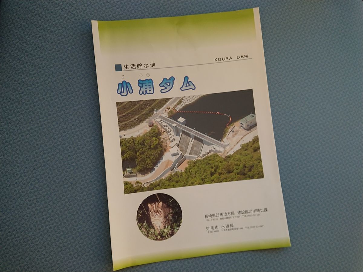 f:id:damtraveller:20211126214954j:plain