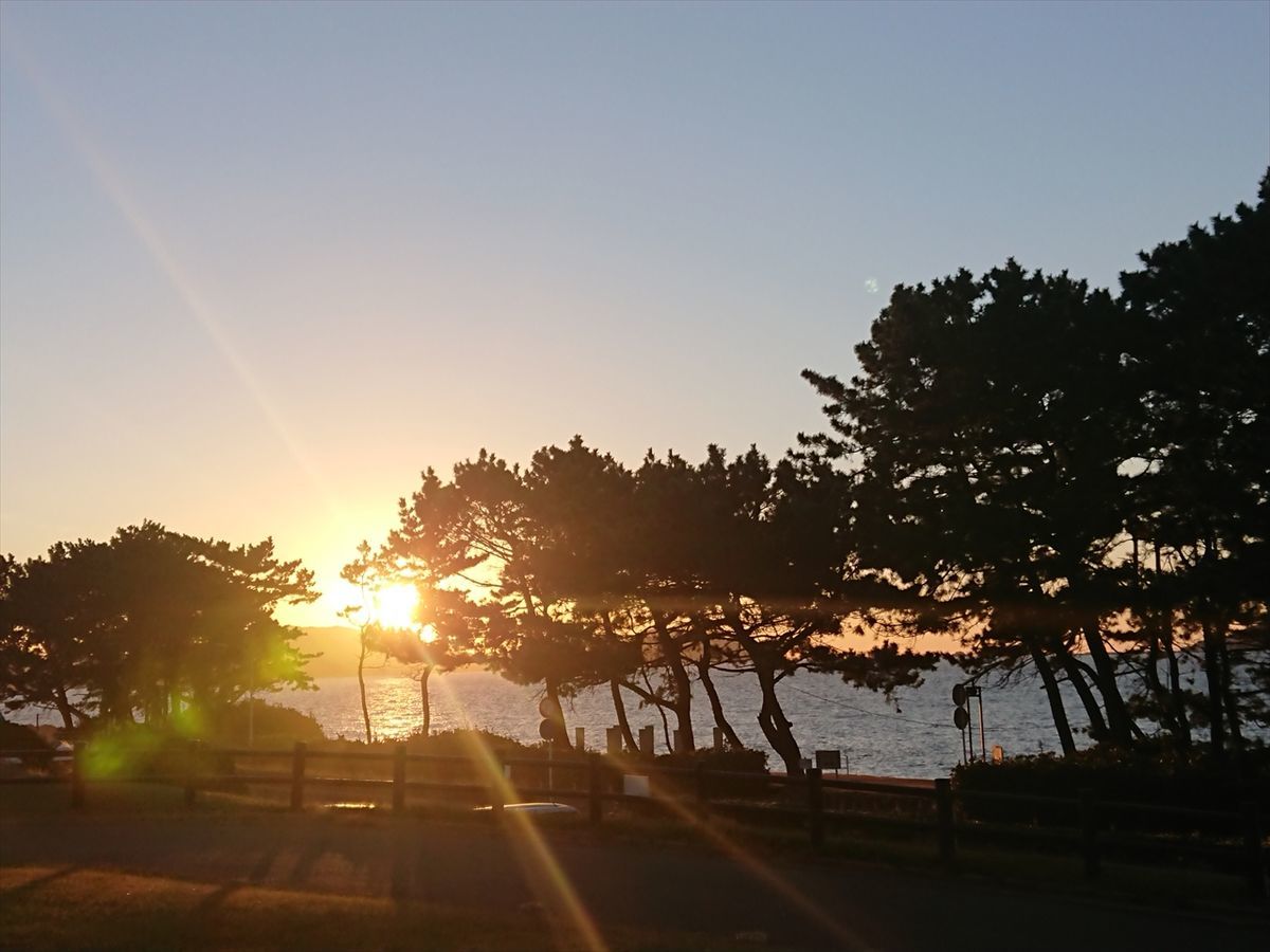 f:id:damtraveller:20211126220254j:plain