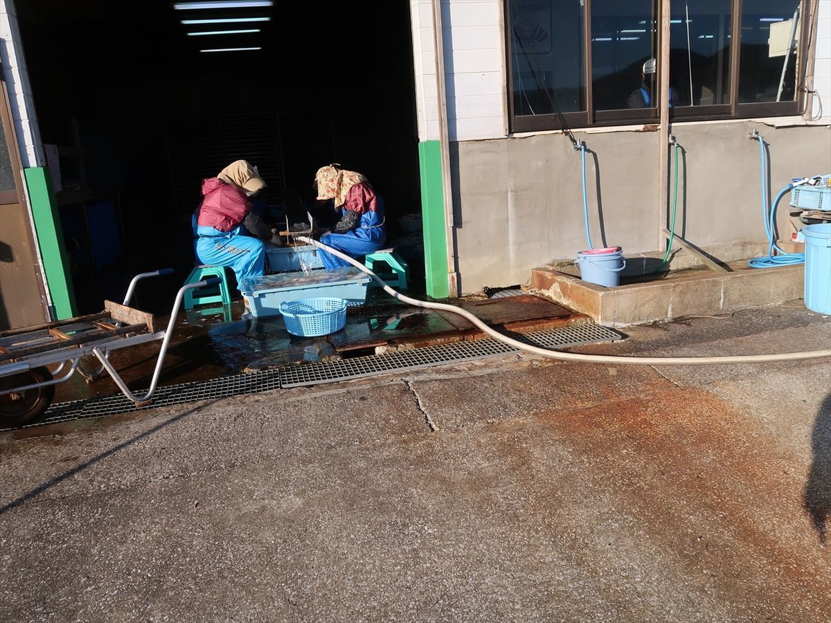 f:id:damtraveller:20211126224532j:plain