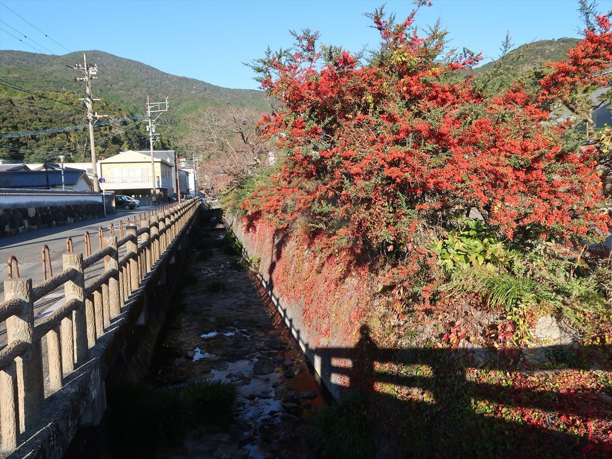 f:id:damtraveller:20211126224629j:plain