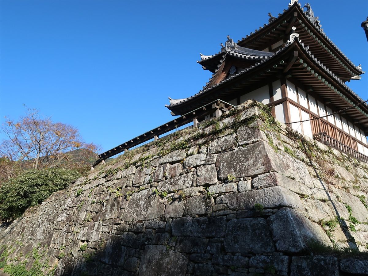 f:id:damtraveller:20211126224705j:plain