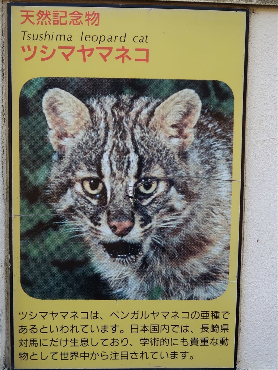 f:id:damtraveller:20211127083101j:plain