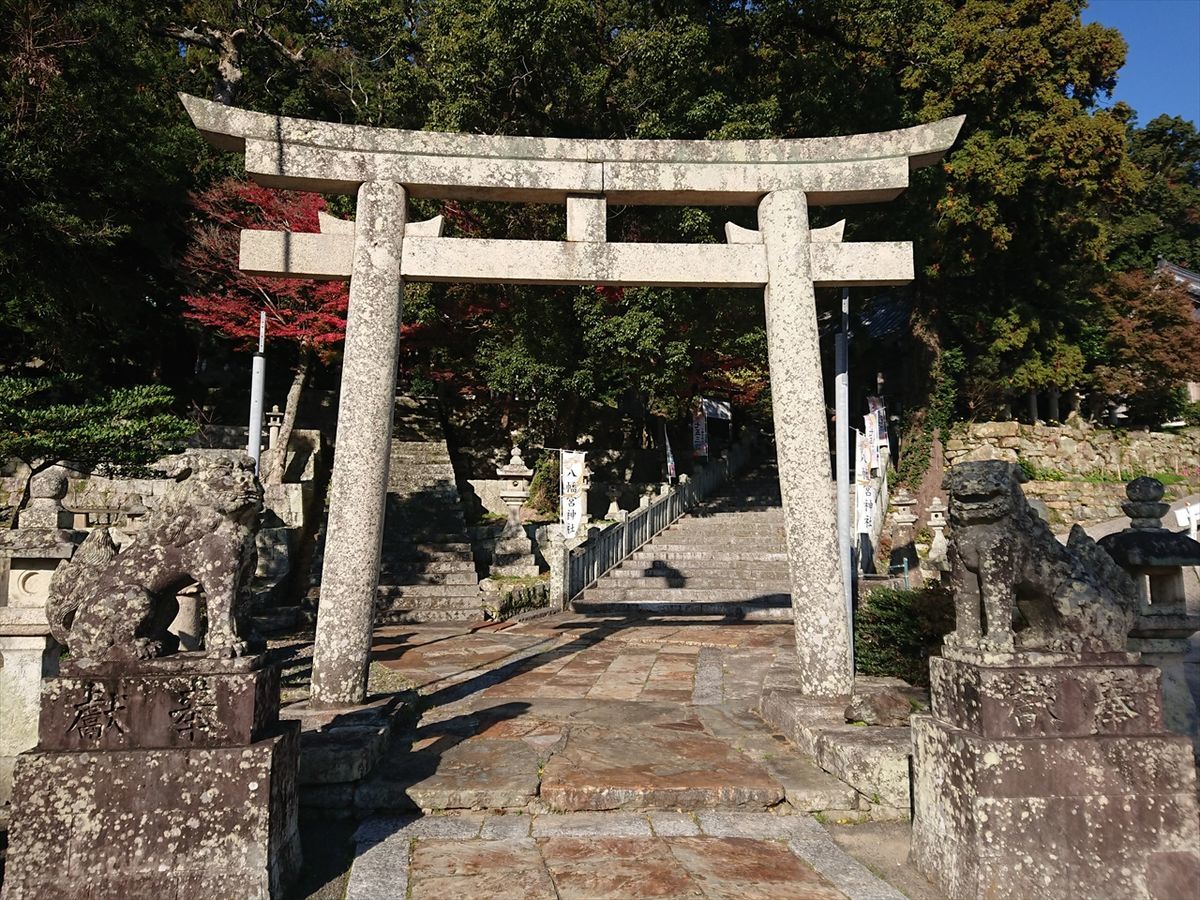 f:id:damtraveller:20211127083634j:plain