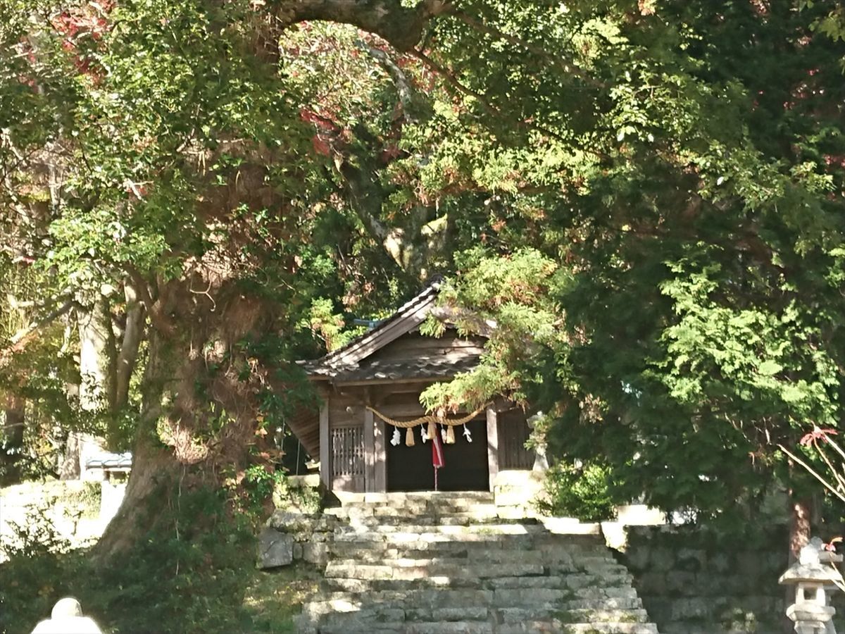 f:id:damtraveller:20211127083638j:plain