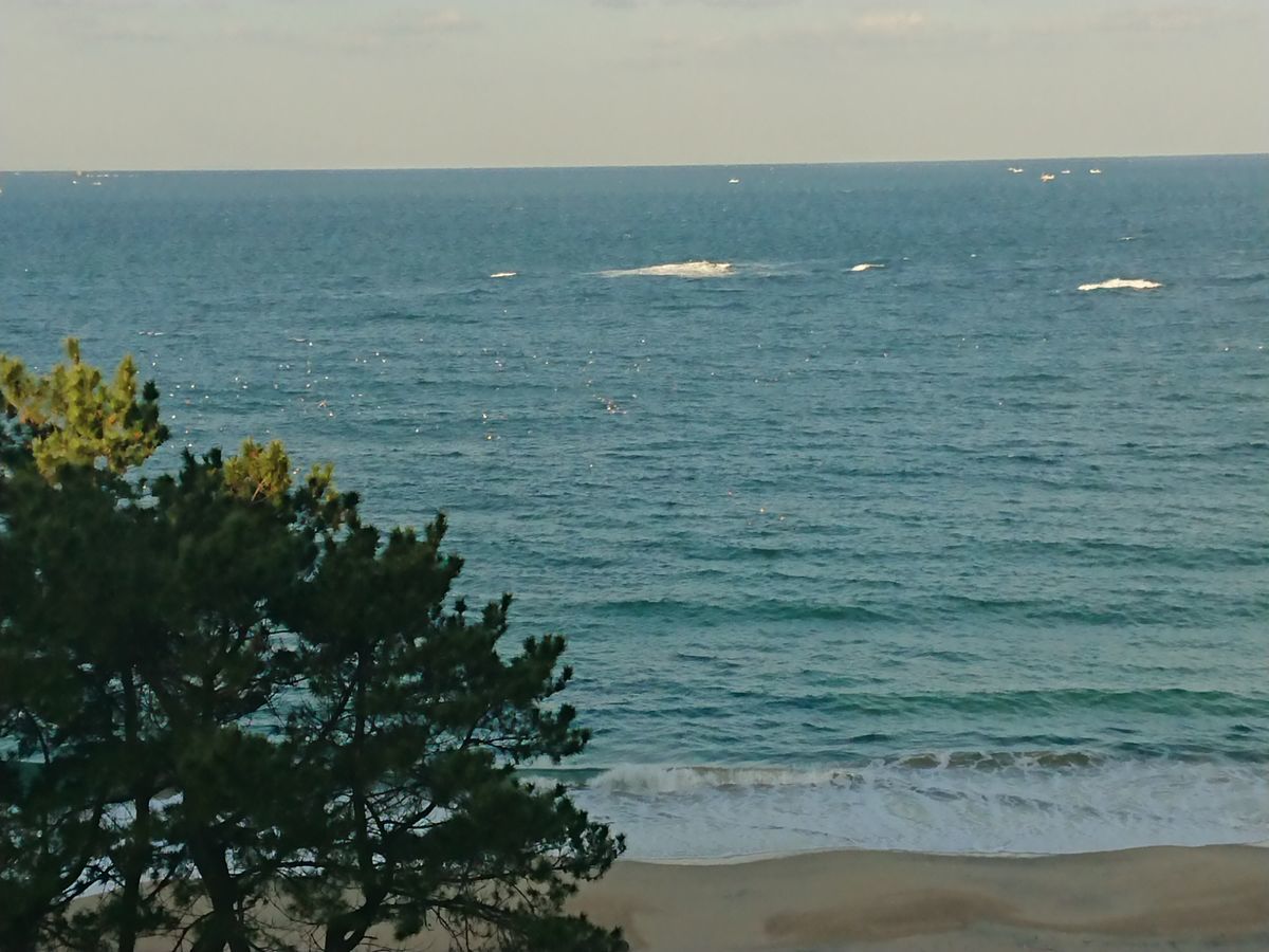 f:id:damtraveller:20211127084624j:plain