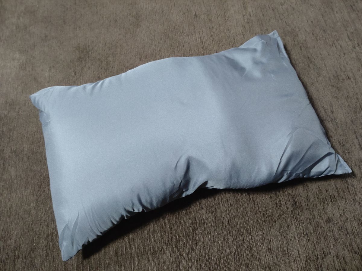 f:id:damtraveller:20220301135137j:plain