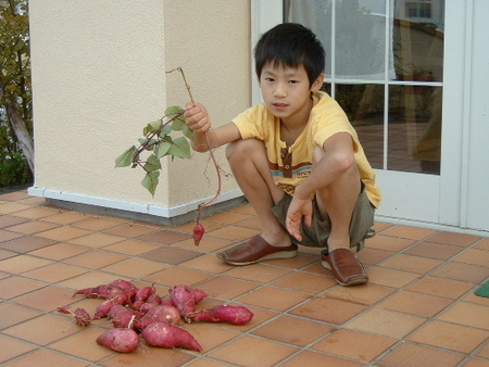 f:id:danbokawamura:20061007112019j:image