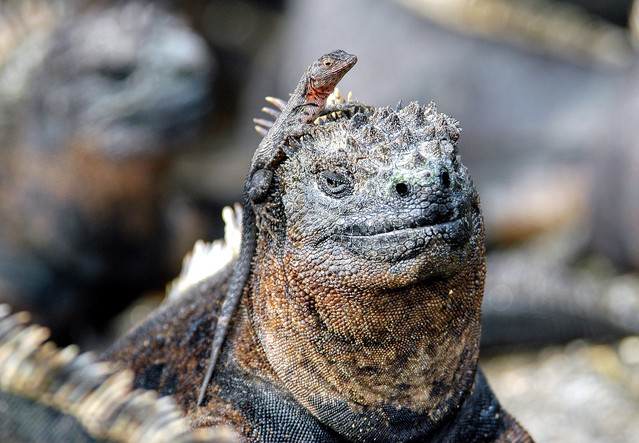 f:id:dance-aim:20180627115431j:image:w300