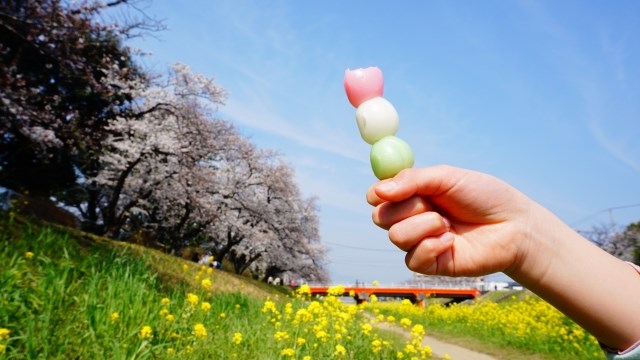 hanayoridango