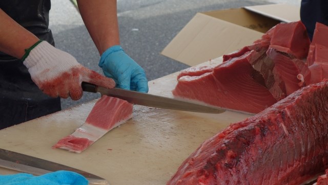 maguro