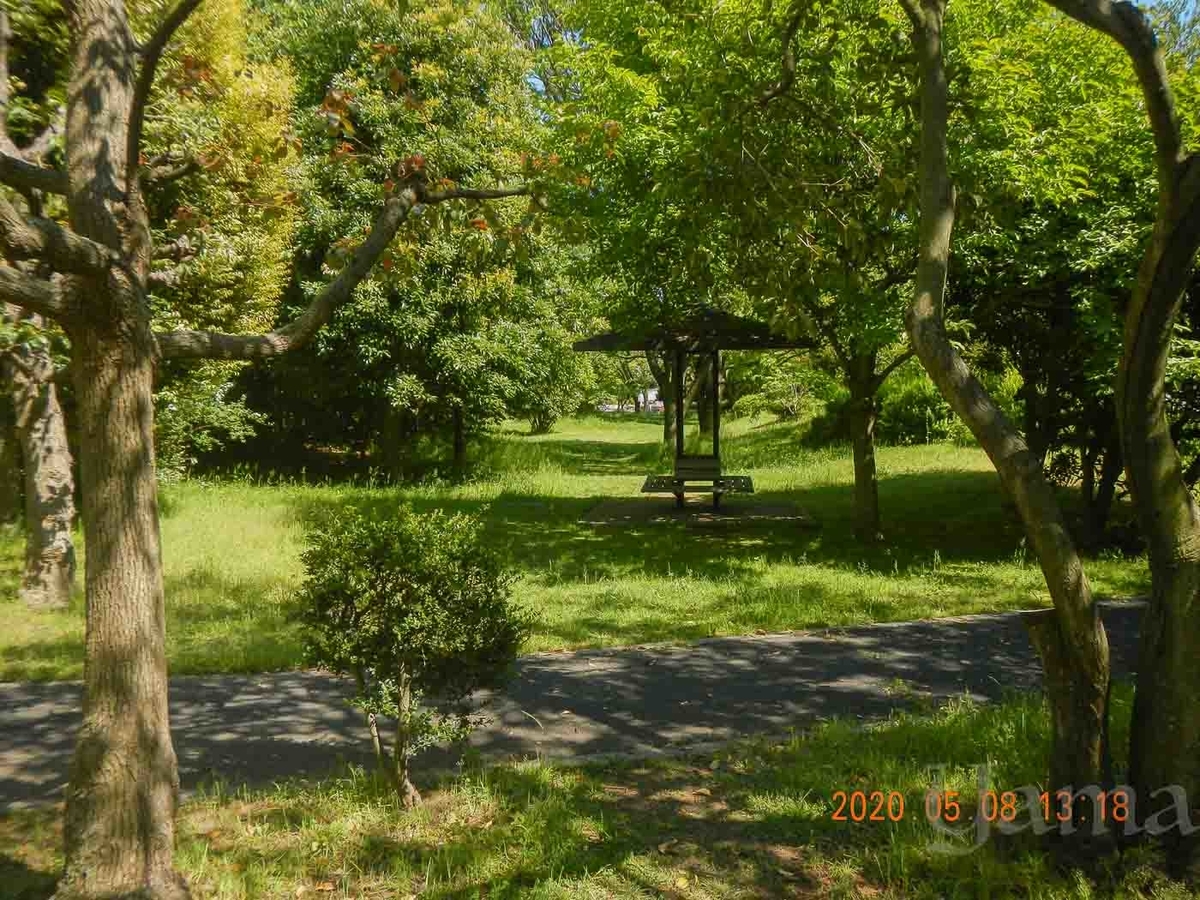 f:id:danceintent:20200509213908j:plain