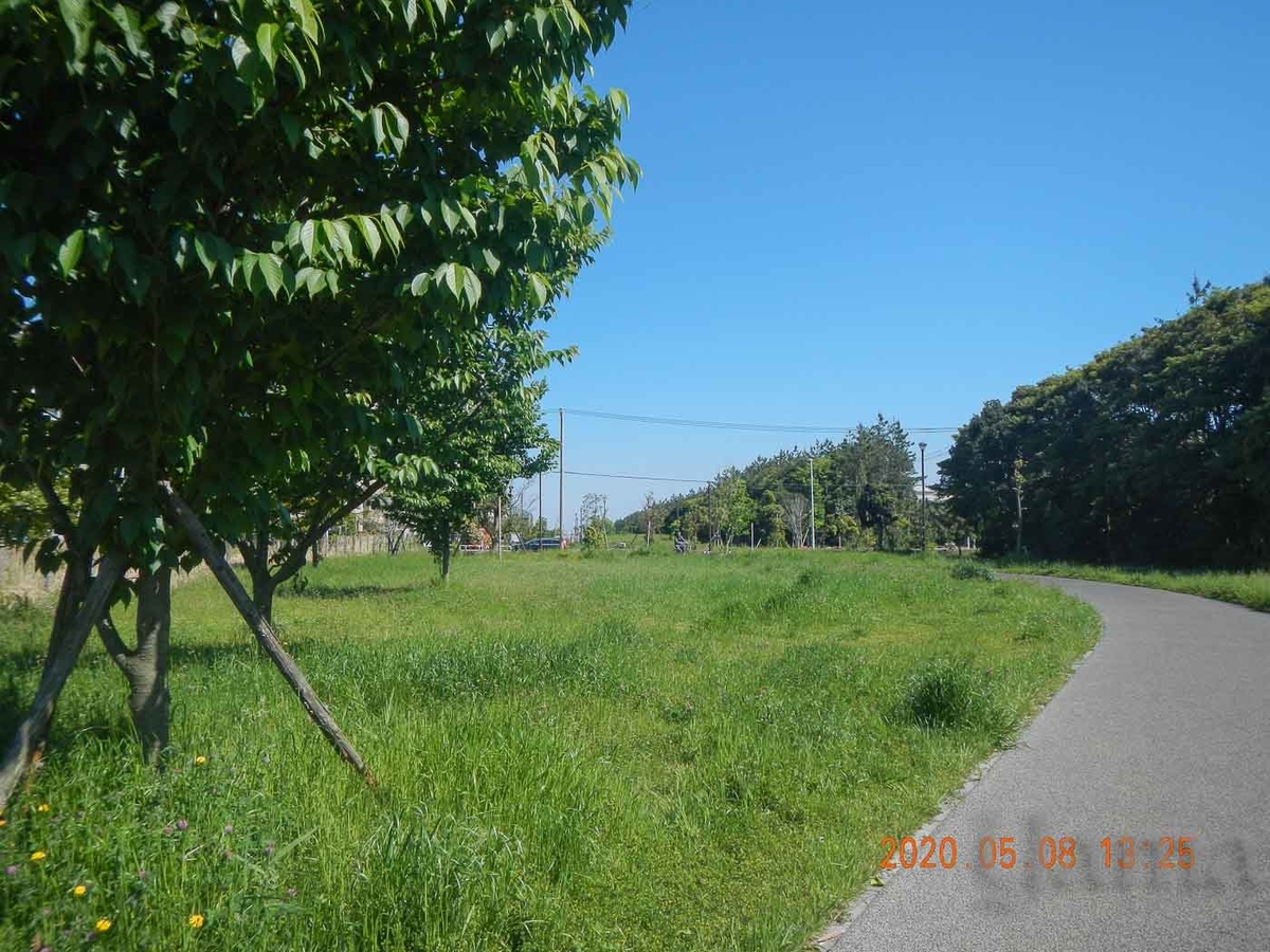 f:id:danceintent:20200509214543j:plain