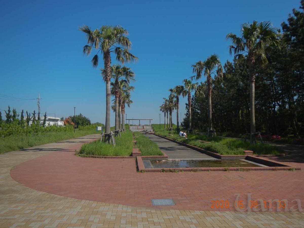 f:id:danceintent:20200509221600j:plain