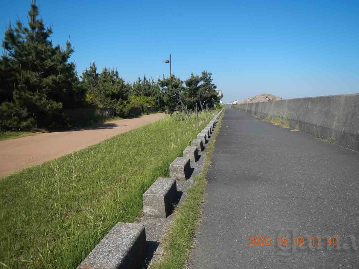 f:id:danceintent:20200509223454j:plain