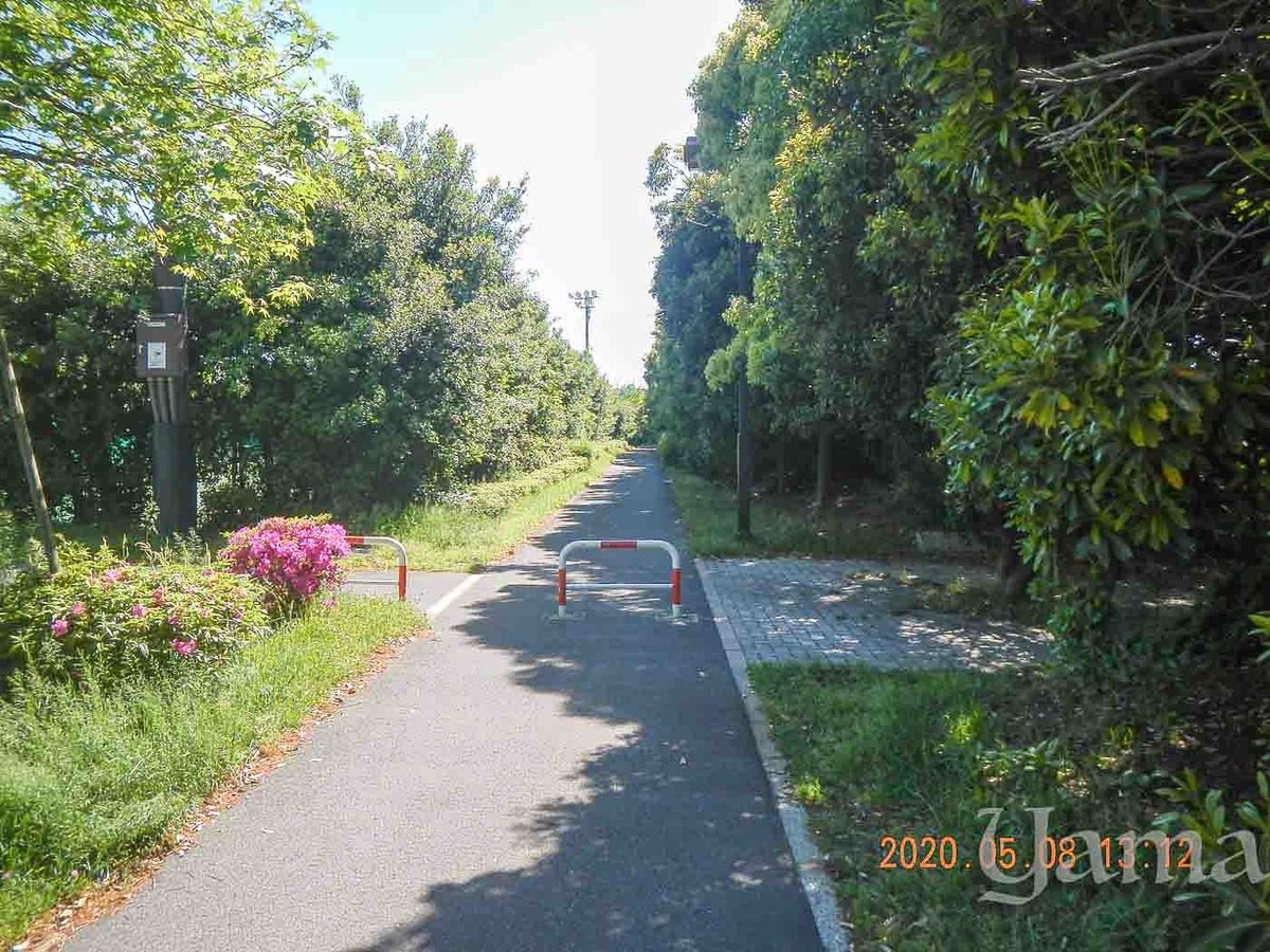 f:id:danceintent:20200514142157j:plain