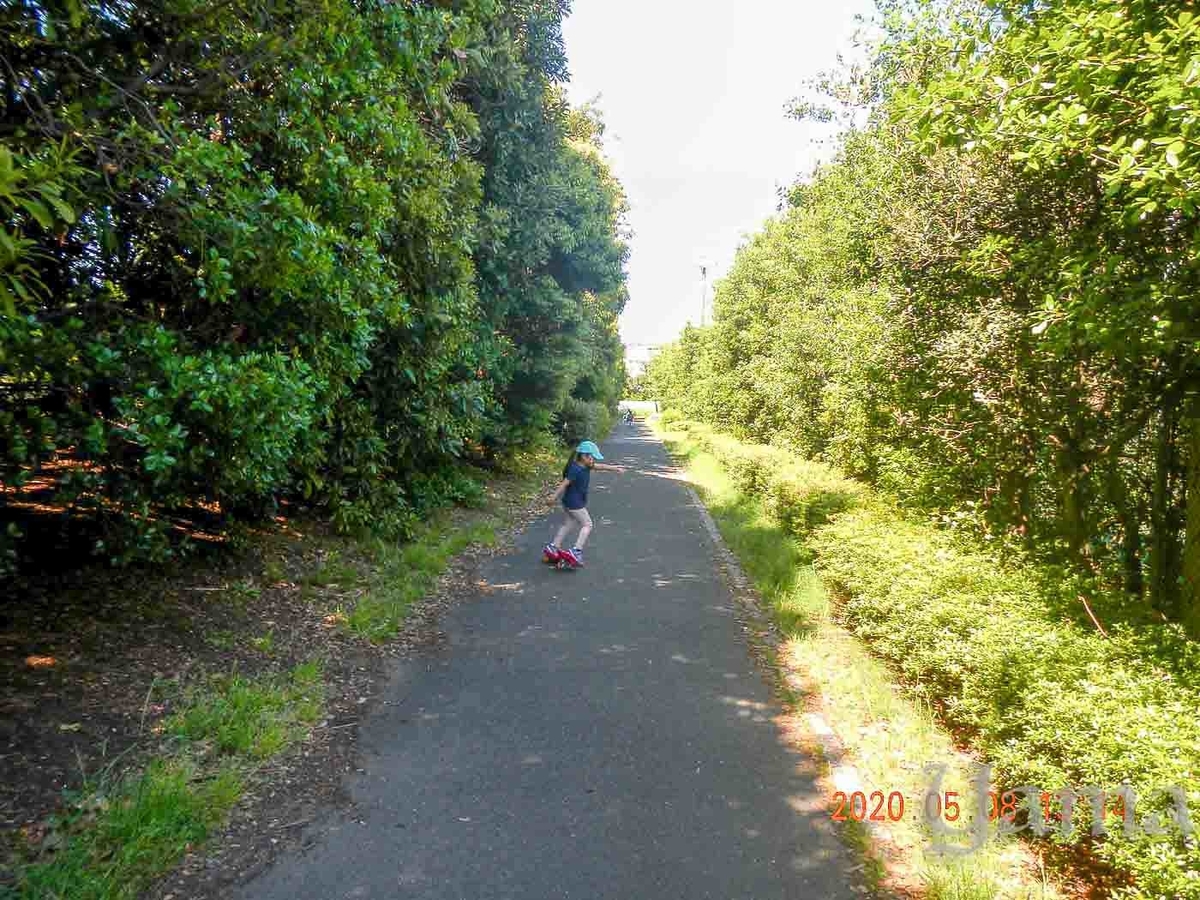 f:id:danceintent:20200514142239j:plain