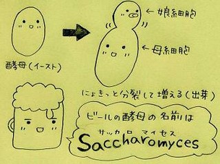 f:id:dancing-mai:20051205133719j:image