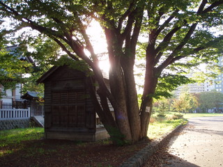 f:id:dancing-mai:20051205134107j:image