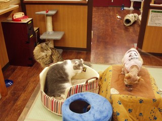 f:id:dancing-mai:20051221144242j:image f:id:dancing-mai:20051221144242j:image