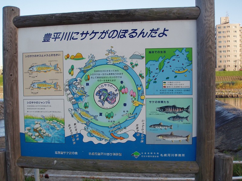 f:id:dancing-mai:20060113144326j:image:w320 f:id:dancing-mai:20060113144326j:image:w320