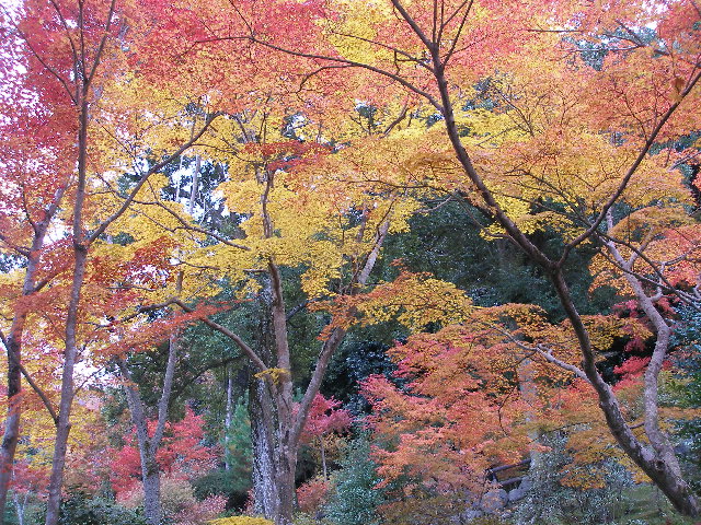 f:id:dancingbrave1986:20071128124604j:image