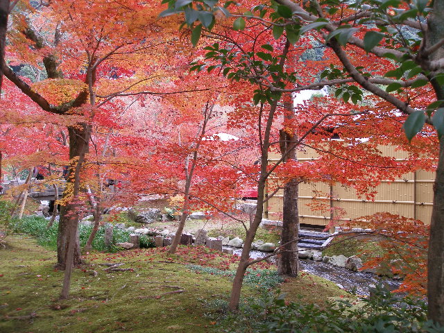 f:id:dancingbrave1986:20071129133338j:image