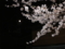 20090409195001