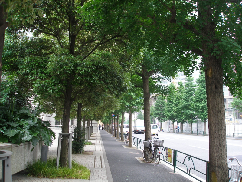 f:id:dancingbrave1986:20100519113657j:image