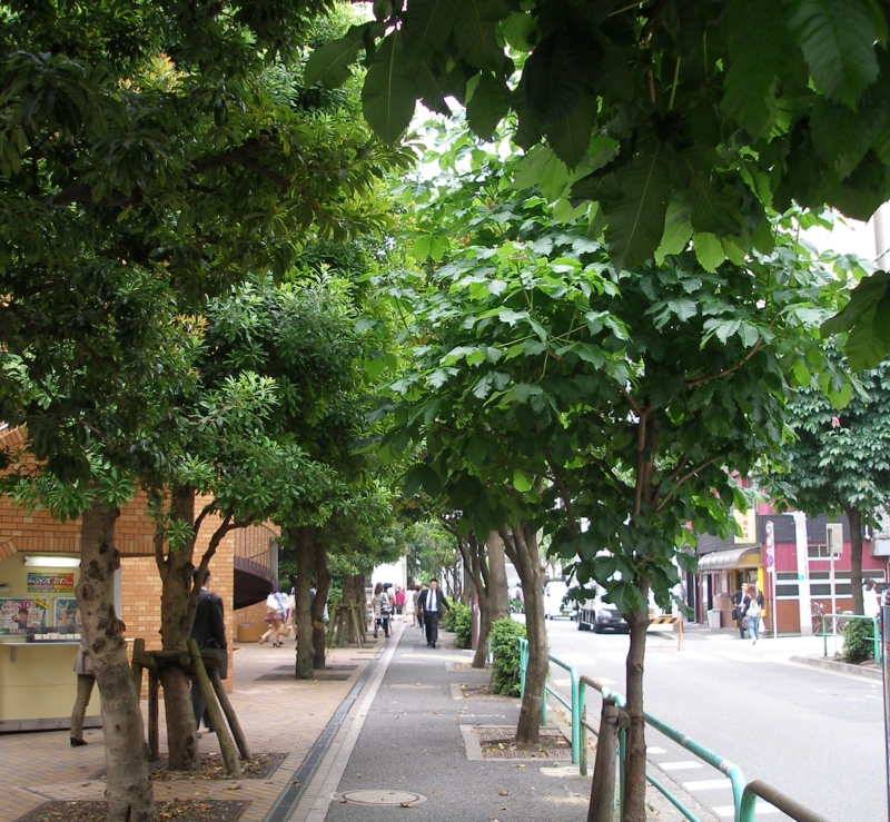 f:id:dancingbrave1986:20100526085411j:image