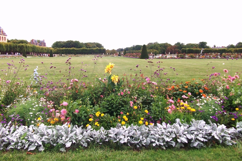 ミモザ ガーデンの日記 フランスの庭 Dancingbrave1986のブログ