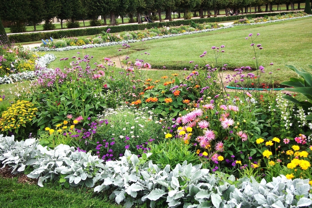 ミモザ ガーデンの日記 フランスの庭 Dancingbrave1986のブログ