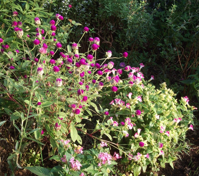 f:id:dancingbrave1986:20101003162443j:image f:id:dancingbrave1986:20101003162443j:image