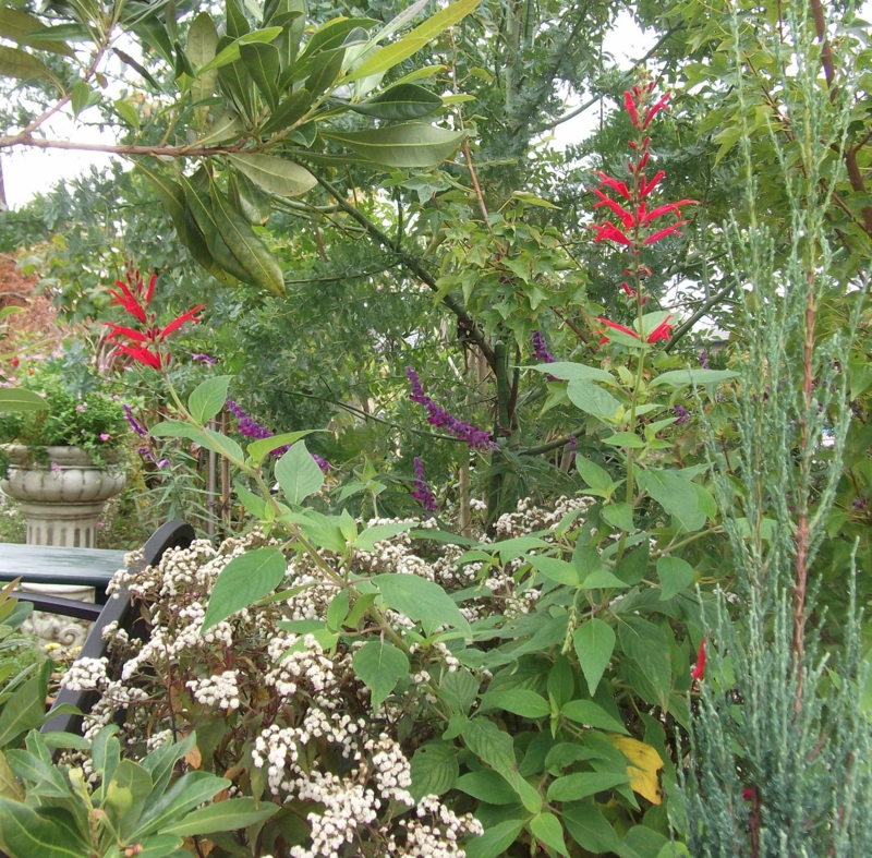 f:id:dancingbrave1986:20101022124139j:image