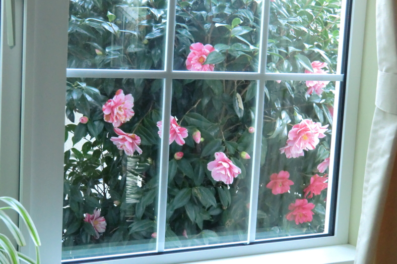 f:id:dancingbrave1986:20110331172449j:image