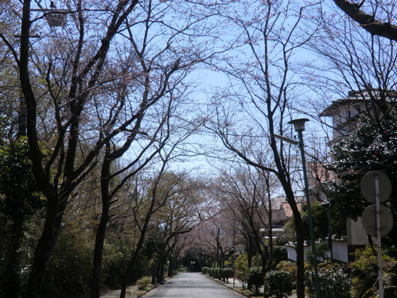 f:id:dancingbrave1986:20110404102156j:image