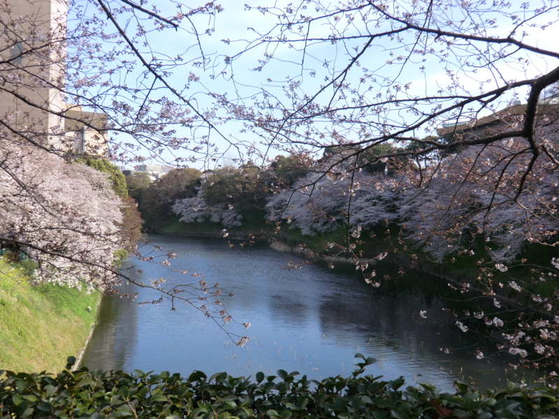 f:id:dancingbrave1986:20110406155620j:image