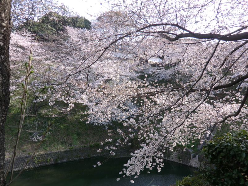 f:id:dancingbrave1986:20110406155725j:image