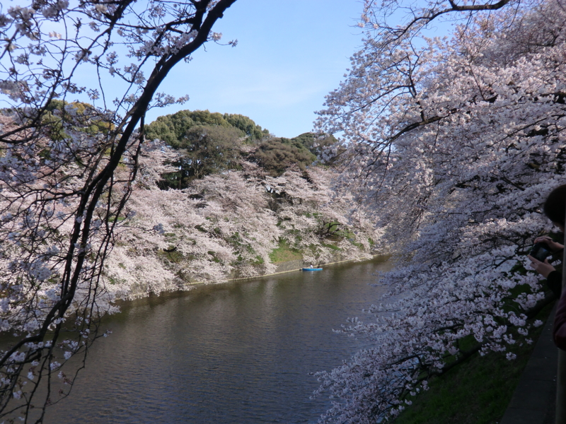 f:id:dancingbrave1986:20110406160646j:image